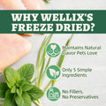 Wellix Catnip Treats Freeze-Dried Cat Treats, Grain-Free Snacks with Chicken, Cat Grass & Catnip for Cats Digestive Support Healthy Skin&Coat, Healthy Feline Training Treats for Indoor Cats, 3oz