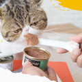 CUITIBI Small Spatula For Short Can, Cat Food Scoop, Wet Food Spoon For Dog Or Cat, Open Canned With Spatula, Manual Can Opener(Gray Spoon)