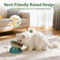 Slow Feeder Cat Bowl, Ceramic Cat Slow Feeder,Elevated Anti Vomiting Whisker Friendly Tilted Design,for Dry and Wet Food,Dishwasher Safe (Green)