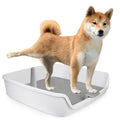 ALL FOR PAWS Dog Potty Tray, 24.8"x24.8"Indoor Pet Pee Pad Holder with Pee Post, Puppy Potty Trainer, Dog Litter Box and Pet Toilet for Small Medium Dogs, Housebreaking Supplies(Pee Pads Not Included)