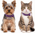 Cat Collar with Bell Pretty Girl Kitten Collar with Bells, Dark Purple XXS