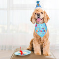 Yicostar Dog Birthday Party Supplies, Dog Birthday Bandana Set, Dog Boy Girl Birthday Party Hat with Numbers for Large Medium Small Dogs Pet (Blue)