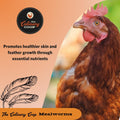 Fluker's Culinary Coop Premium Chicken Treats, Mealworms 3.5 oz, High Protein Worm, Nutritious Treat