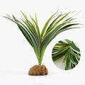 Fake Spider Plants