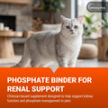 Vetoquinol Epakitin Chitosin-Based Phosphate Binder for Cats & Dogs – Renal Support Supplement Powder - 180g