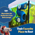 Betta Fish Tunnel Hideout | Aquarium Cave & Tunnel Decor for Betta Fish, Shrimp & Small Fish | Fish Tank Decoration, Bet