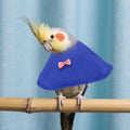 3Pcs Bird Collar Cone Protective Recovery Yellow/Green/Pink XL