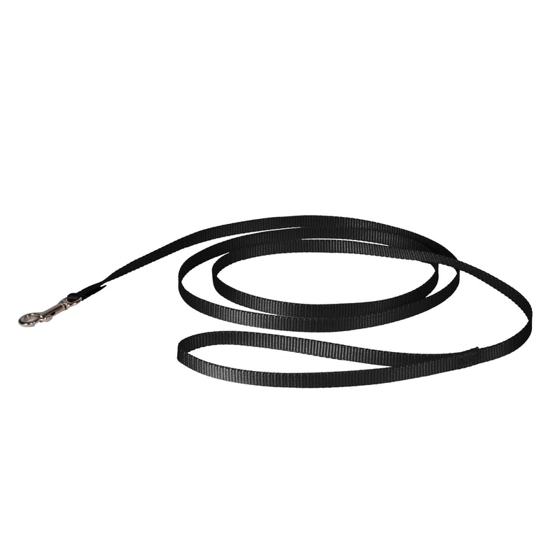 PetSafe Nylon Dog Leash Strong, Durable, Traditional Style Lead with Easy to Use Bolt Snap for Small, Medium and Large Dogs 3/8