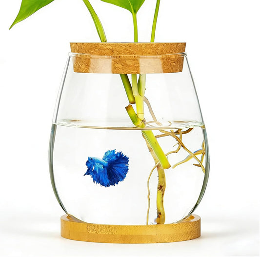 0.5 Gallon Fish Bowl Betta Fish Tank Glass Aquarium with Wood Lid & Bamboo Stand – Hydroponic Plants Planter, Glass Vase