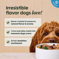Instinct FreshRaw Meals, Natural Frozen Dog Food, Grain-Free - Grass-Fed Beef, 16 oz. (Pack of 6)