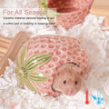 Ceramic Hamster Hideout Strawberry Chew Proof Syrian Hide Cool Bed
