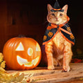 Halloween Cat Costume Cloak Witch Hat Pet Accessories Halloween Adjustable Pumpkin Pet Costumes Clothes Set, Halloween p