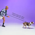 Wild One Hands-Free Adjustable Rope Dog Leash, Standard: 4' to 8.5' Long, .5" Wide, Adjustable for Crossbody, Waist & Handheld, Spruce