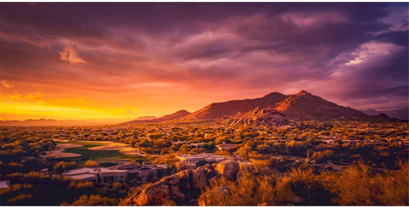 36x18 in Desert Mountain Terrarium Backdrop Oasis Reptile Habitat Backdrop