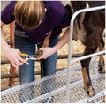 Premier 1 ExoTrim™ Serrated Hoof Trimmer