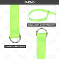 HOMIMP Slip Lead Dog Leash 6 FT- 48 PCS Bulk Colors Kennel Control Leashes for Small Medium Large Dogs Puppy Animal Resc