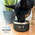 Coldest Dog Bowl - Anti Rust Metal, Non Slip, 3 Layers Insulated Stainless Steel Dog Bowls - Spill Proof & Heavy Duty - Water Bowl for Dogs, Cats & Pets, Dish Washer Safe (21 oz, Stealth Black)
