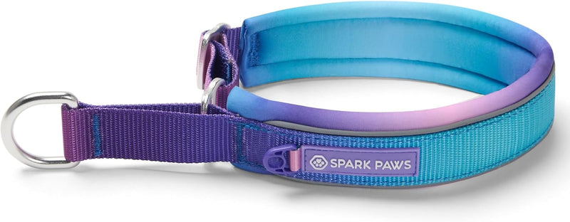 Spark Paws Martingale Dog Collar – Cushioned Slip-On Training Collar