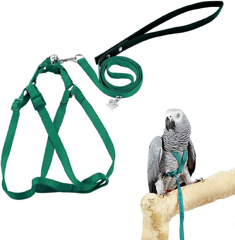 Adjustable Bird Harness and Leash for Yellow Naped Amazons Galah Cockatoos