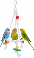 Hypeety Bird Swing Multi Birds Cotton Rope Round Hanging Hammock Perch Toy