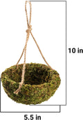 Handmade Crested Gecko Tank Decor – Hanging Shelter for Bearded Dragon Accessories, Reptile Hammock, Hermit Crab, Snake 