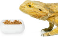 White/Small 1-Pack