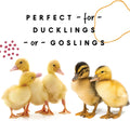 Manna Pro Duck Starter Grower Crumble – Non-Medicated Duckling Feed with Probiotics for Digestion, Ducks & Goose Starter Feed for Healthy Growth, Duck Grower Crumble Pellets, 8 lb