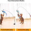 Interactive Cat Wand Toys, 2 Wands with 3 Feather Refills for Indoor Cats