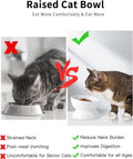 ABRUTY Cat Water Bowl, 16 OZ Ceramic Elevated Cat Bowls, 15° Tilted and Raised Pet Food Dish, Anti Vomiting Protect Pets' Spines and Whisker Fatigue