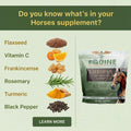 Lifespan Equine Herbal Anti-Inflammatory Supplement | Natural Joint & Mobility Support for Horses | Eases Swelling, Stif