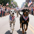 CozyHaus 2PCS Dual-Layer Design Patriotic Dog Bandanas Outfit,Large Summer Triangle Reversible Memorial Day Independence Day American Flag 4th of July Scarf for Big Boy and Girl Dogs Red White Blue