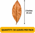 SunGrow Dwarf Frog Mini Catappa Leaves (50 Pc) - Tannin Helps Remove Ammonia, Lower pH - Leaf Litter Indian Almond Leave