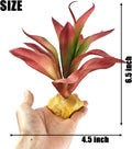 Woyrise Reptile Plants for Desert Terrarium,Habitat Decor,Succulent Plant