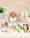 Bissap 40PCS Rabbit Chew Sticks, 20PCS Sweet Bamboo Chew Sticks & 20PCS Papaya Stems Bunny Chews for Rabbit Hamster Chin