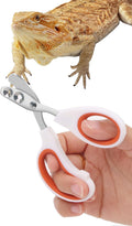 Stainless Steel Bearded Dragon Nail Clippers,Lizard Nail Clippers,Bearded Dragon Supplies,Bearded Dragon Nail Scissors f