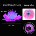 4 Pack Silicone Glowing Fish Tank Decorations Plants,Aquarium Fish Tank Glow Ornaments,Artificial Sea Anemone Coral Deco