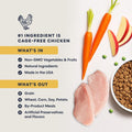 Instinct Original Dry Cat Food, Raw Coated Kibble, High Protein, Grain Free Recipe - Real Chicken, 5 lb. Bag