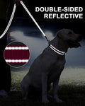 Taglory Reflective Dog Leash for Small Dogs, 3/4in x 4ft, Hot Pink