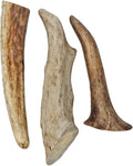 Exotic Nutrition Antler Chews - Safe Small Animal Chew - Natural Source of Healthy Minerals - Chinchilla, Hamster, Degu,
