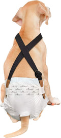 Paw Inspired Dog Diaper Suspenders, Hook & Loop Fasteners, M/L Size