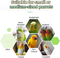 Wooden Bird Play Stand with Swing for Cockatiels and Parakeets