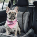 Double Dog Leash, 360° Swivel No Tangl-e Bungee Walking Training Leashes, Comfortable Shock Absorbing Reflective Bungee 