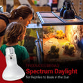 4 Pack 50-Watt Basking Light for Reptile - Heat Lamp Bulbs for Reptiles & Amphibians Broad Spectrum Reptile Light for Gl
