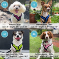 Gooby Comfort X Step-in Lite Harness, Choke-Free, Turquoise, Small