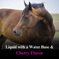 SU-PER Hyaluronic Supplement for Horses, Gallon Liquid