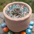 0.88 LB Colored Pea Gravel,Succulent Cactus Topper Dressing Pebbles,3-5mm