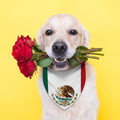 Mexican Independence Day Dog Bandana Triangle Bibs Dog Scarf Adjustable Accessories for Small Medium Dogs Cats Pets