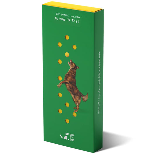 DNA MY DOG - Essential + Health Dog DNA Test Kit | 350+ Breeds Identified | 99%+ Accuracy | 105+ Health & Trait Results | Allergy Risk Score | Personality & Behavior Insights | Results in 2-3 Weeks