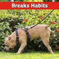 IMUSTGARDEN Dog & Cat Repellent: Stops Chewing, Natural, Pet Safe - 32oz