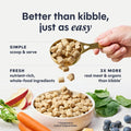 Instinct Freeze Dried Raw Meals, Natural Cat Food, Chicken, 9.5 oz. Bag